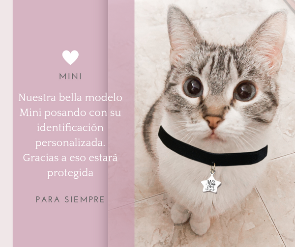 Identificación estrella