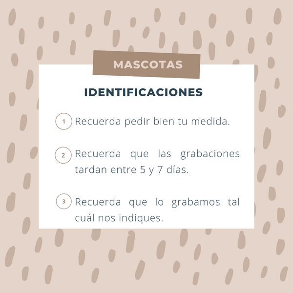 Identificación Huesos
