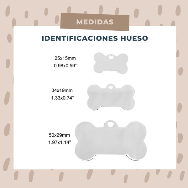 Identificación Huesos