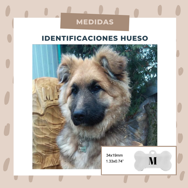 Identificación Huesos