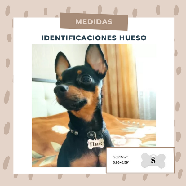 Identificación Huesos