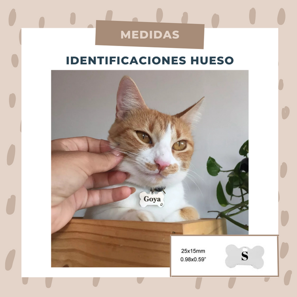 Identificación Huesos
