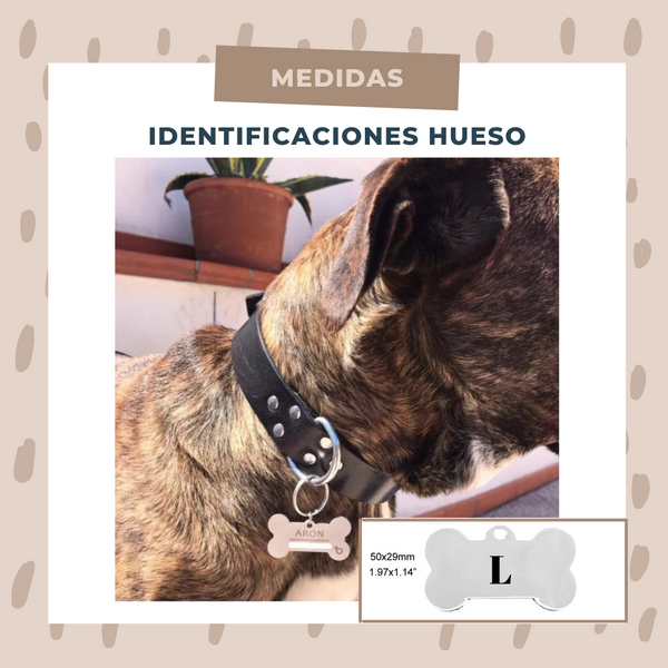 Identificación Huesos
