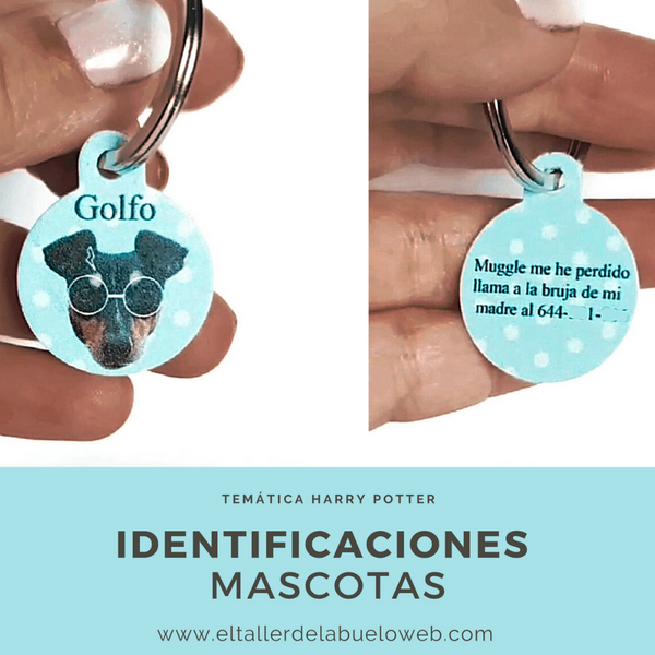 IDENTIFICACIONES TEMÁTICAS
