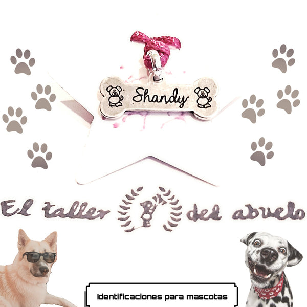 Identificación hueso con baño de plata